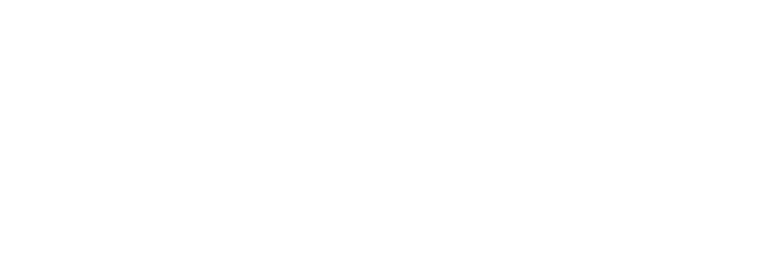 Ploid